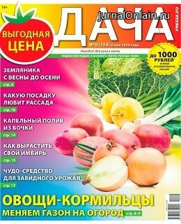 Дача №9, май 2020