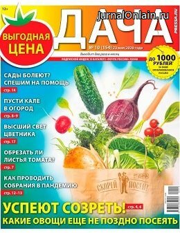 Дача №10, май 2020